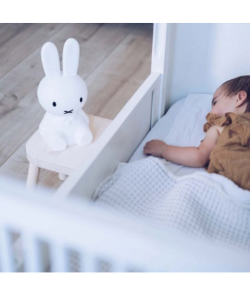 Lampe miffy 30cm la colonne vertébrale