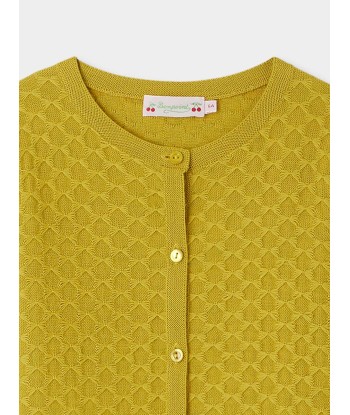 Garancie Cardigan aus grüner Wolle Découvrez la collection