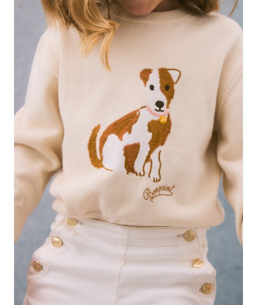 Anumati Hundemuster Pullover commande en ligne