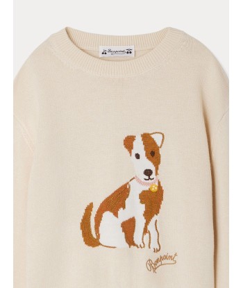 Anumati Hundemuster Pullover commande en ligne