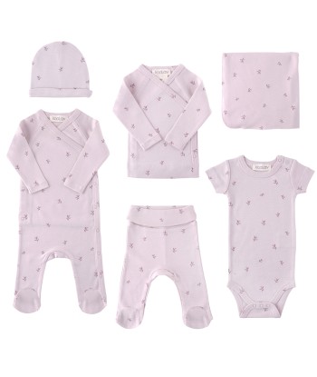 Kit naissance jeune pousse Rose Comparez plus de prix